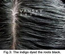 241119140214_Hair-Dyed with indigo-s.jpg